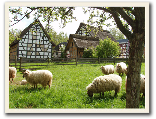 Freilichtmuseum Kommern